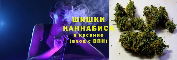 каннабис Майский