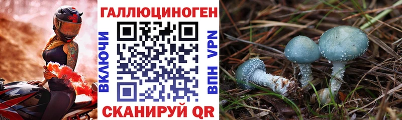 Галлюциногенные грибы ЛСД  Зуевка 